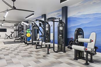 Gym variety of equipment